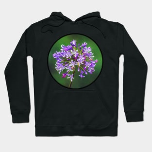 Flowering Agapanthus on Lush Green Background Hoodie